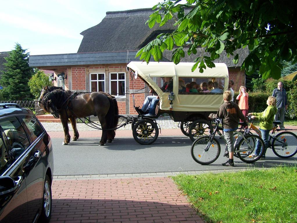 Landhaus Martens Bresewitz Zewnętrze zdjęcie