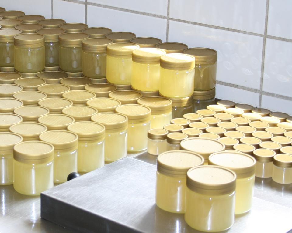 Landhaus Martens Bresewitz Zewnętrze zdjęcie