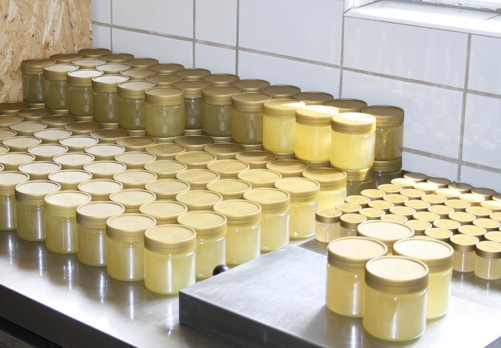 Landhaus Martens Bresewitz Zewnętrze zdjęcie