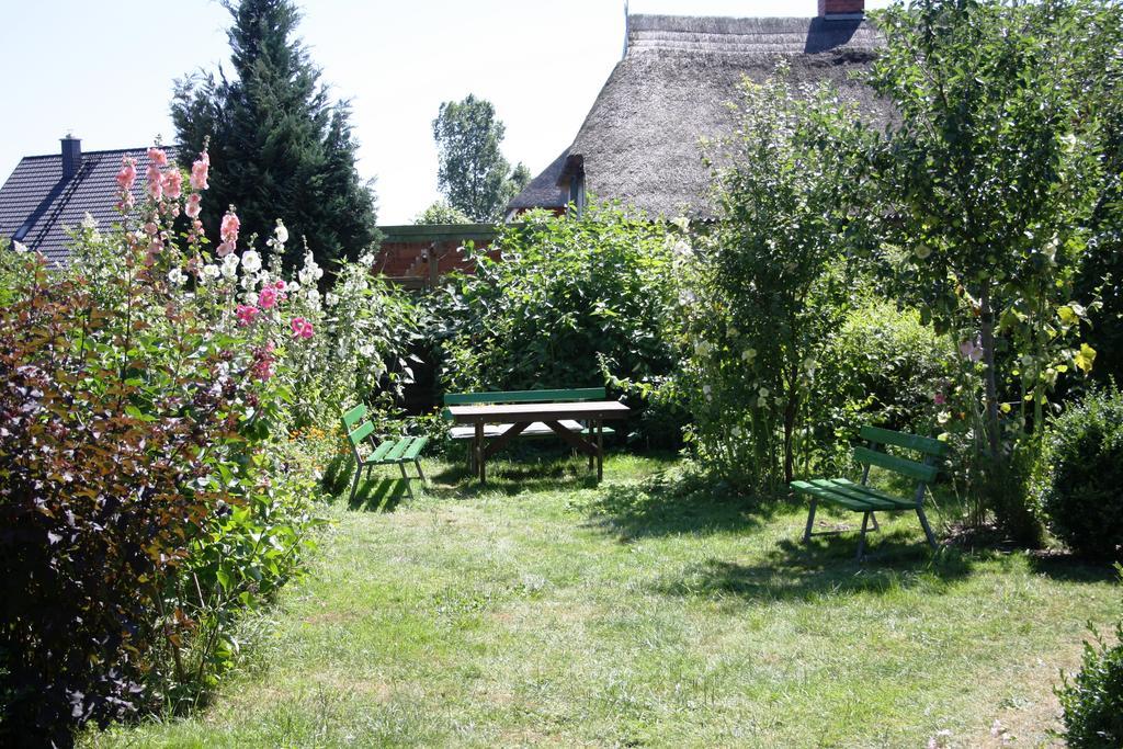 Landhaus Martens Bresewitz Zewnętrze zdjęcie