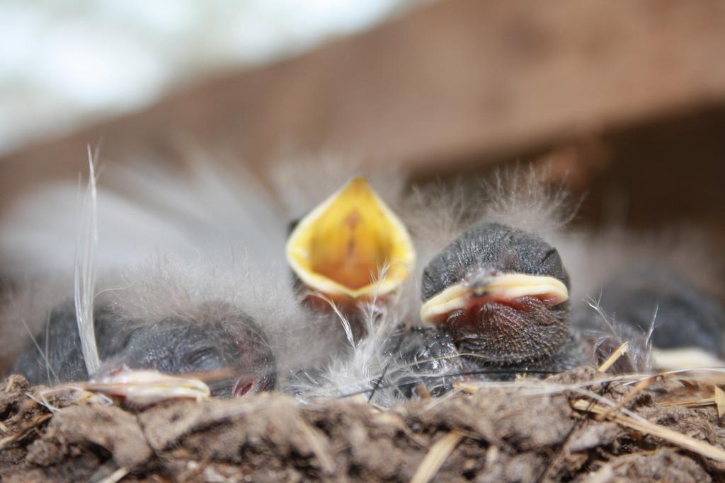Landhaus Martens Bresewitz Zewnętrze zdjęcie